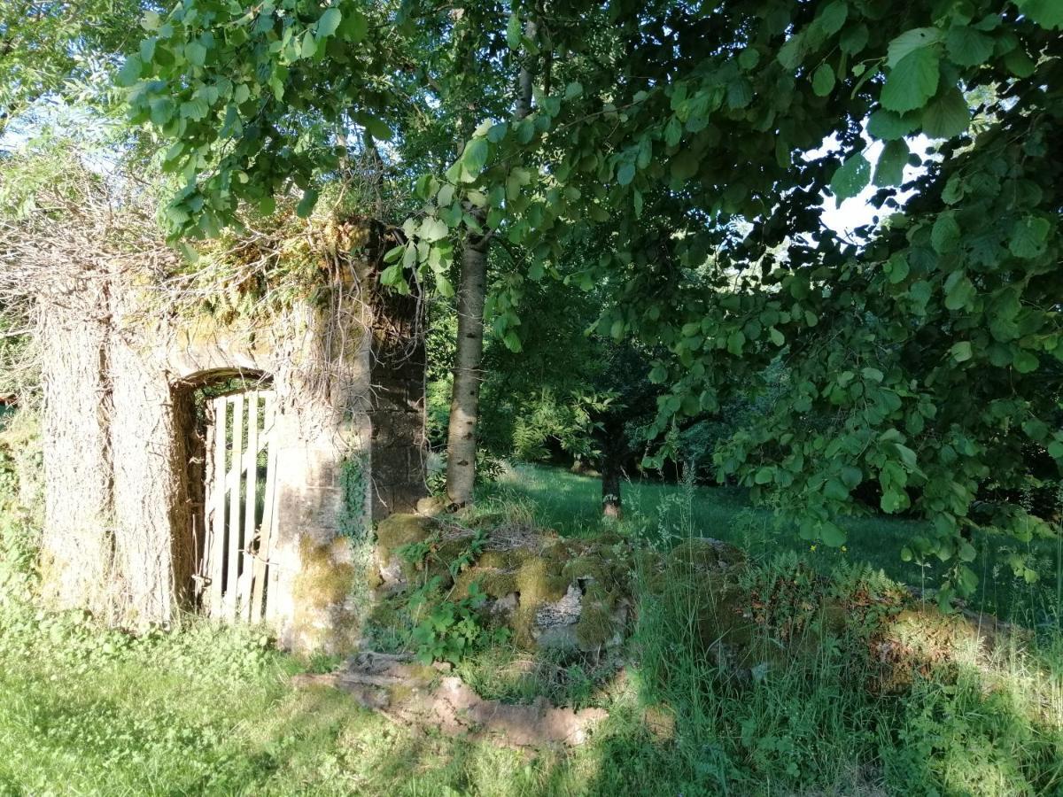 Le Miraillet, Gite Saint-Illide Exteriér fotografie